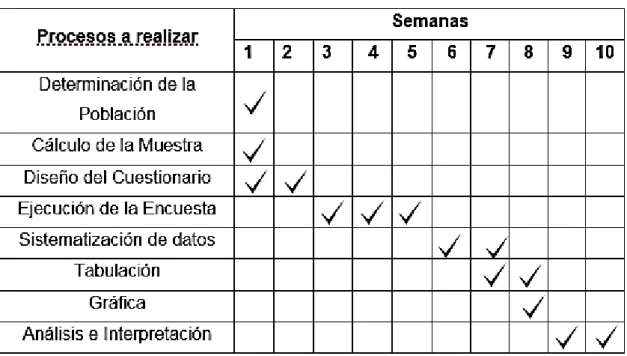 Tabla 2: Cronograma de trabajo 