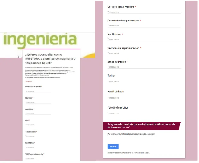 Figura 1. Ficha para Mentoras.