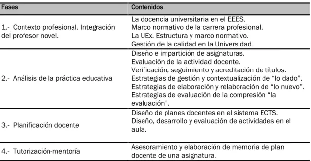 Tabla 1: Estructura del Bloque I: Plan de formación de profesores noveles. 