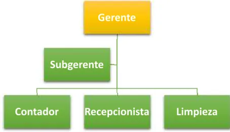 Gráfico 9: Estructura Orgánica