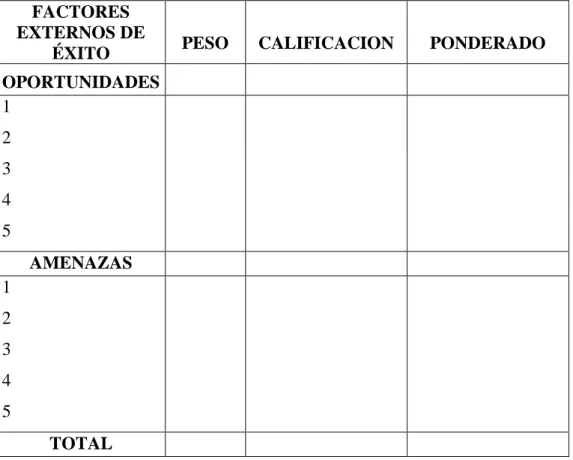 Cuadro 4. Modelo de Matriz MEFE 
