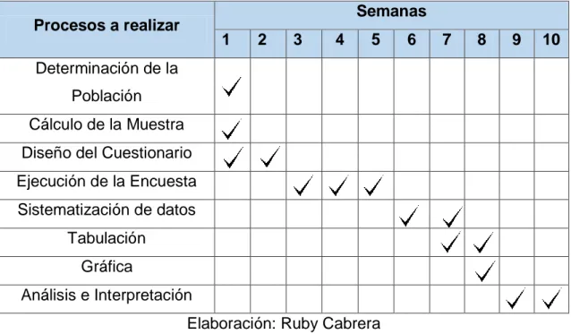 Tabla 1. Cronograma de procesamiento de datos de fuentes primarias