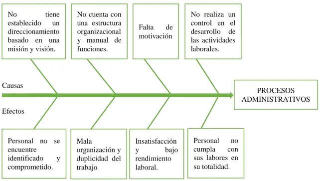 Figura 1: Diagrama-causa efecto. 