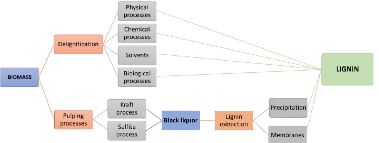 Figure 4. Extraction methods of lignin from biomass and black liquors.