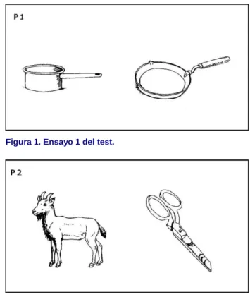 Figura 1. Ensayo 1 del test. 