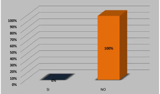 Gráfico 4. La oportunidad de producir las pruebas de las excepciones 