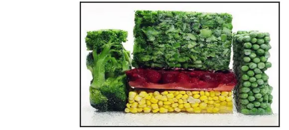 Figura 11 “Vegetales Congelados” 