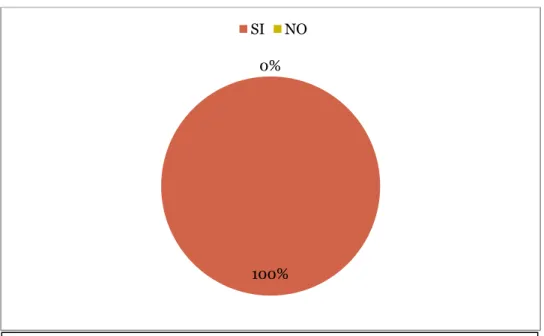 Gráfico N°6 