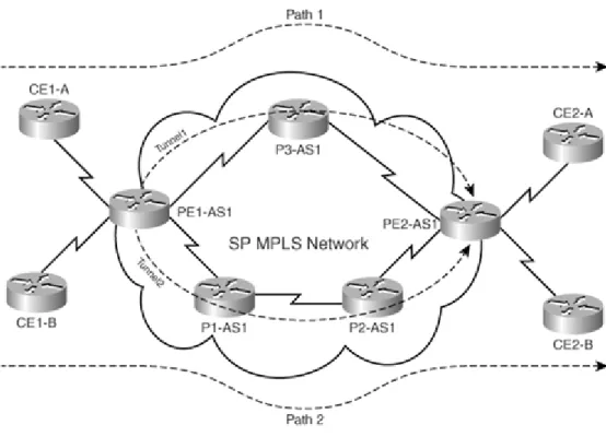 Figure 4: MPLS TE [11] 