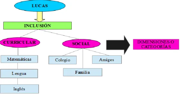 Figura 5-3. Categorías de análisis. 