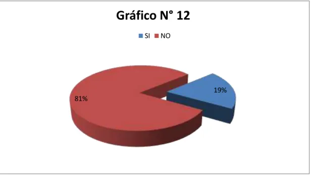Gráfico N° 12