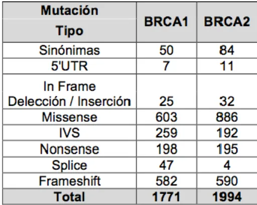 Tabla 6. Tipos de mutaciones en los genes BRCA. Base de datos BIC (http://research.nhgri.nih.gov/bic/) 