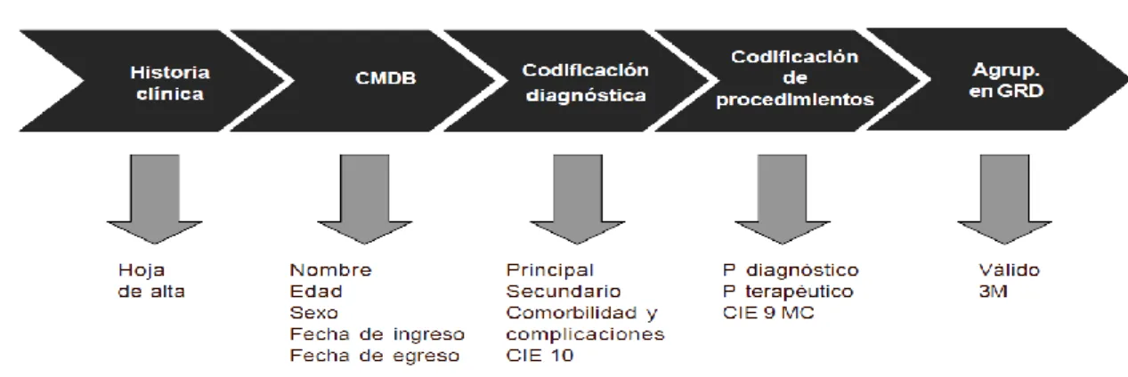 Figura 2- Proceso de obtención de GRD