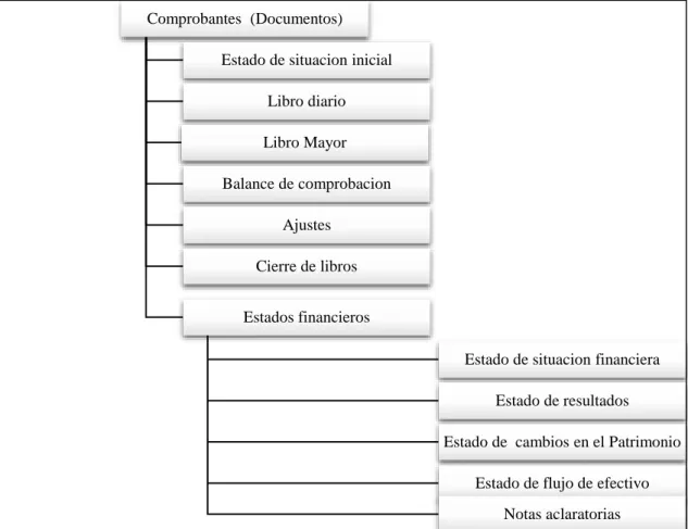 Figura 4. Contenido del proceso contable 