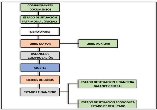 Figura 9. Estructura del proceso contable. 