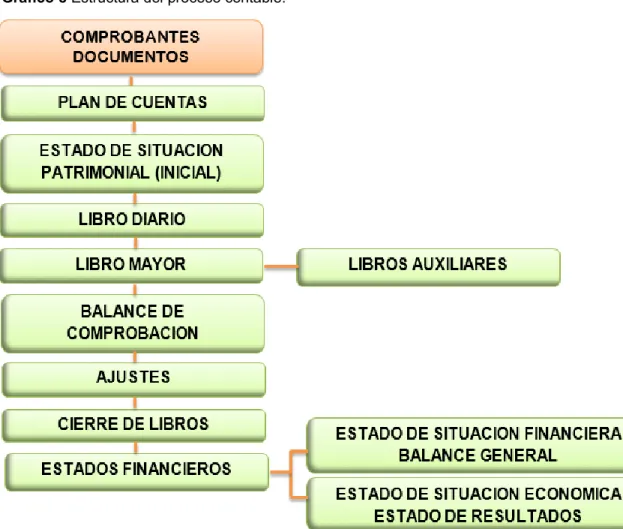 Gráfico 8 Estructura del proceso contable. 
