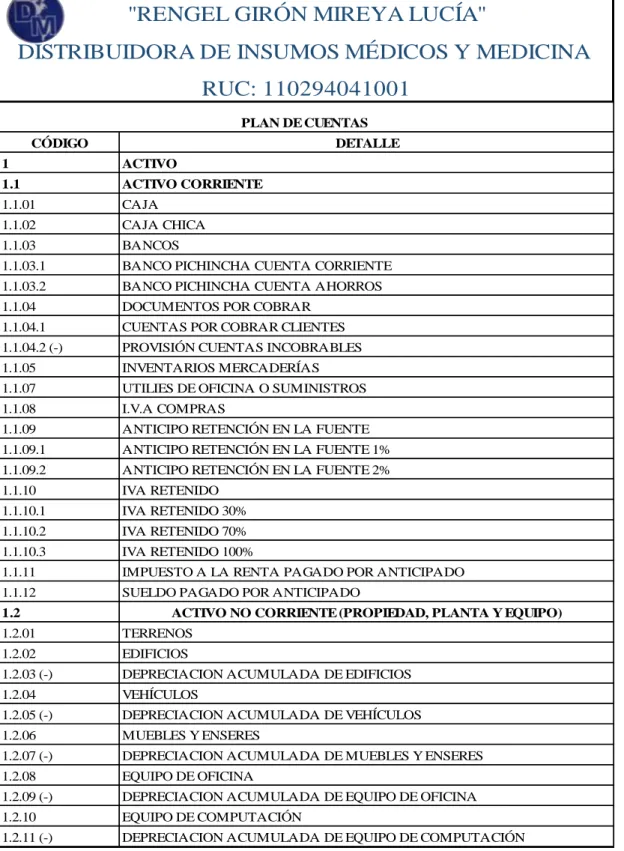 Ilustración 6 Plan de cuentas 