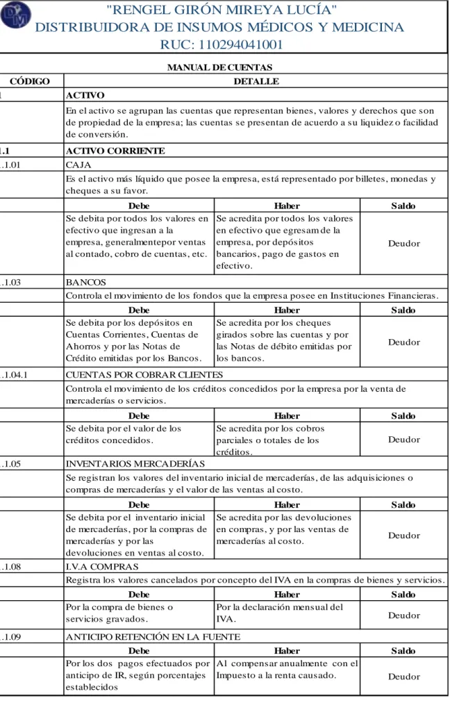Ilustración 7 Manual de Cuentas 