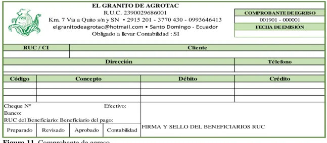 Figura 11. Comprobante de egreso. 