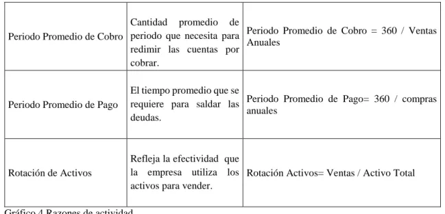 Gráfico 4 Razones de actividad 
