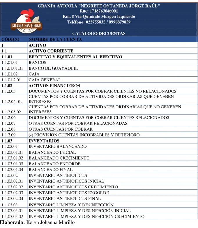 Tabla 8.Plan de Cuentas 