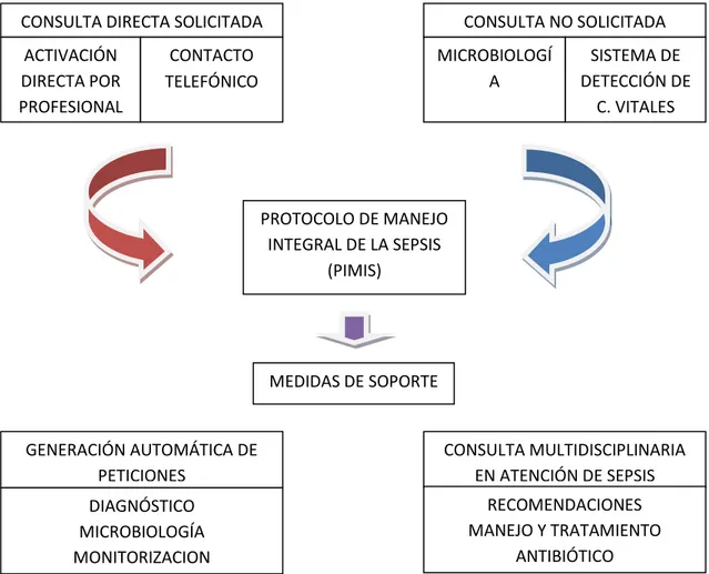 Figura 4. Mecanismos de inclusión de un paciente en el PIMIS. (22)