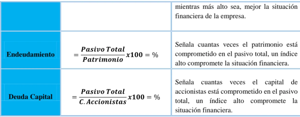 Figura 8. Razones de Endeudamiento 