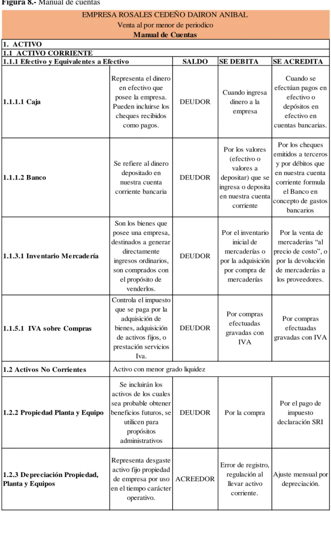 Figura 8.- Manual de cuentas 