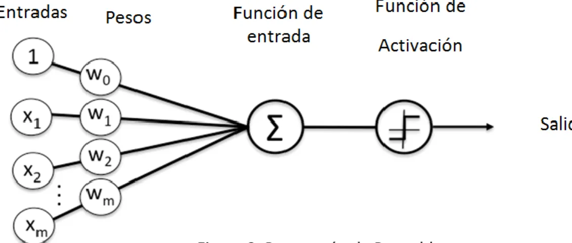 Figura 3. Perceptrón de Rosenblatt 