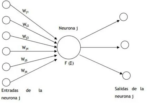 Figura 5. Esquema básico de funcionamiento de una neurona 
