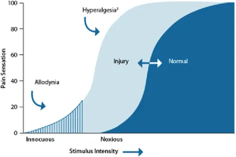Figure  6:  Representation  of  the  difference  between  allodynia  and  hyperalgesia