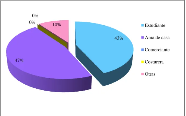 Gráfico 5. Ocupación 