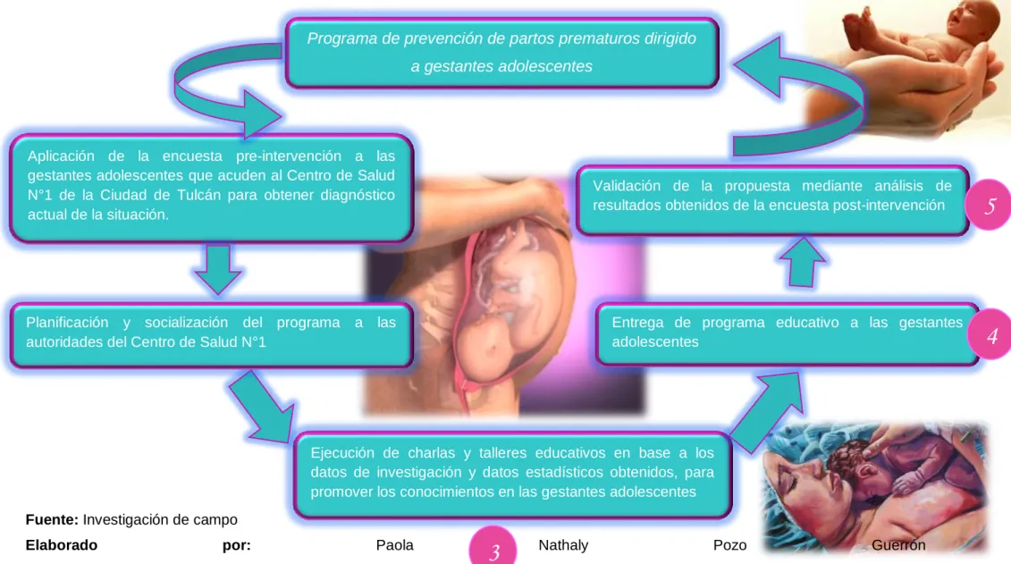 Gráfico 11. Programa de prevención de partos prematuros  