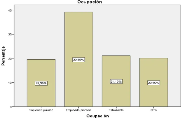 Gráfico 5:  Ocupación  