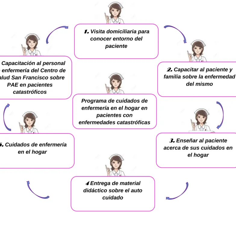 Gráfico 11. Diseño del programa de cuidados de enfermería  