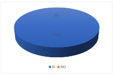 Gráfico 11 Necesidad de implementación de programa informativo sobre derechos en el  H.L.G.D 2017 