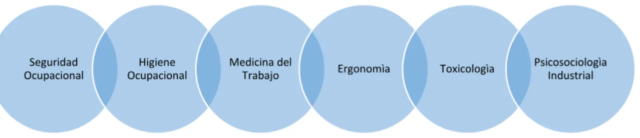 Figura 4.- Salud Ocupacional. 