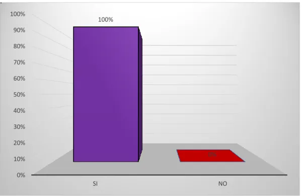 Gráfico N°1 