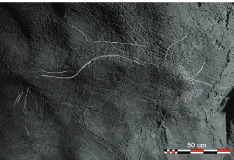 Figure 8. Tracing of the engraved Gravettian bison in Alkerdi 2 cave (© D. Garate).