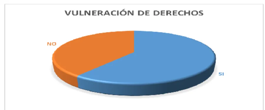 Tabla 4 :  Vulneraciones de derechos  