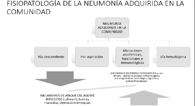 Figura 1. Fisiopatología de la neumonía adquirida en la comunidad Elaborado por: Alicia Telenchana