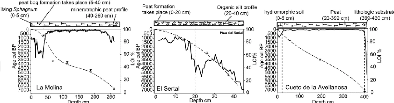 Fig.  3.  Age-depth  models  with  location  of  the  radiocarbon  samples,  values  for  organic  matter,  and  description of sediment