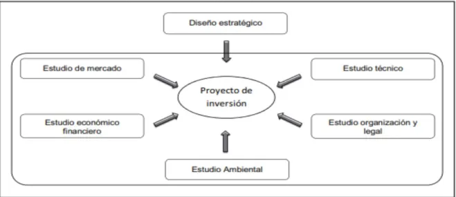 Gráfico N°5 Proyectos de inversión 
