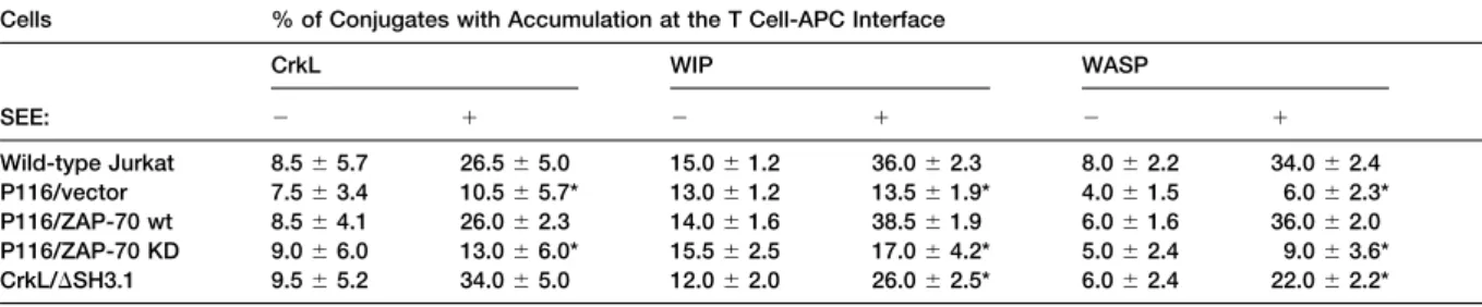 Table 1. Translocation of CrkL, WIP, and WASP to the T-APC Interface