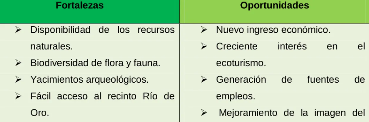 Cuadro 8.  Miembros de la directiva del recinto Río de Oro. 