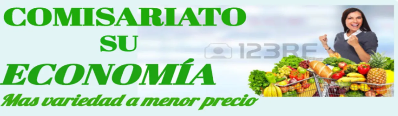 Figura 10 Presentación de Logotipo 
