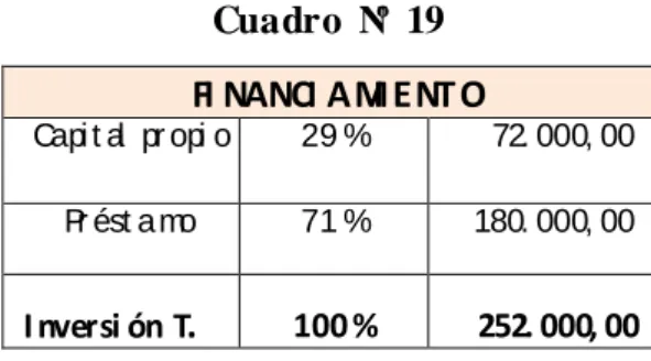 Cuadro  Nº  19 FI NANCI AMIENT O