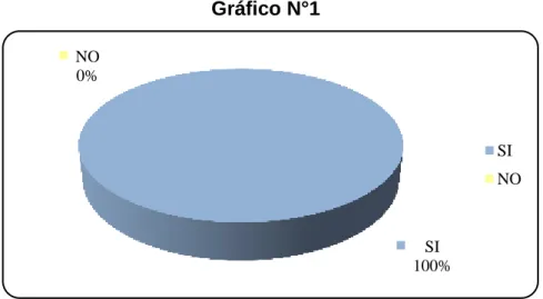 Gráfico N°1 