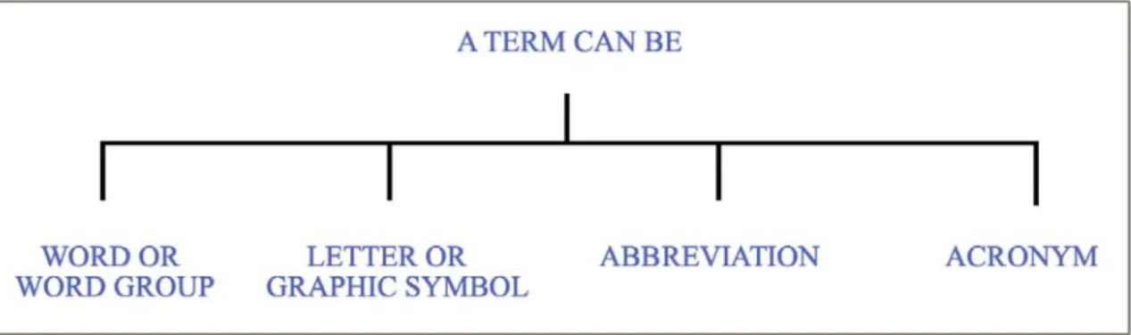 Figure 1. Classification of the different types of terms. 