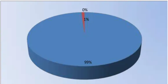 Gráfico N° 6  99%1%0% SI NO
